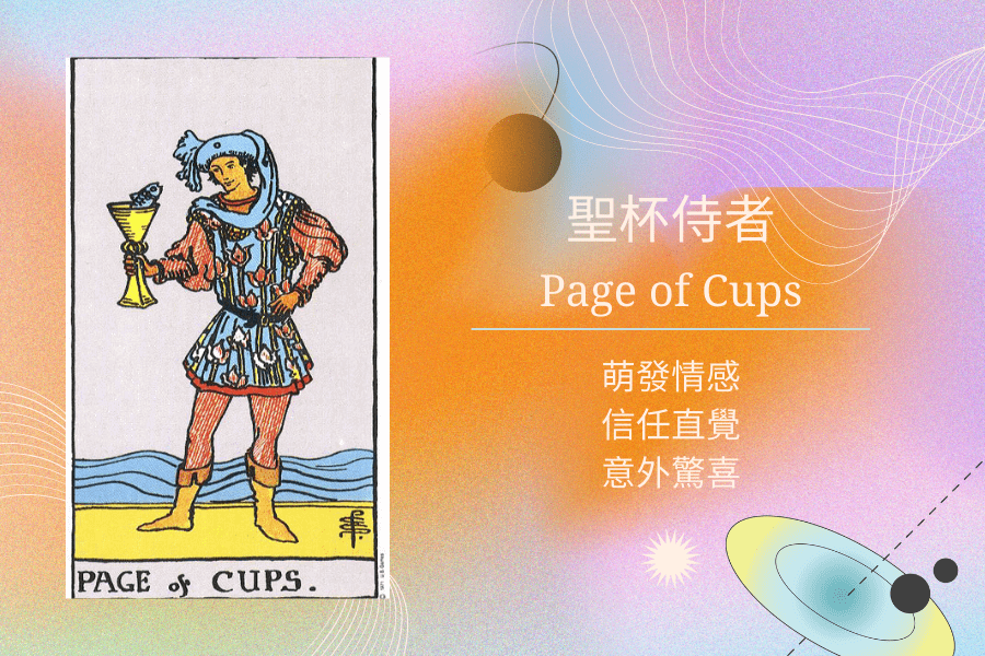 聖杯侍者塔羅